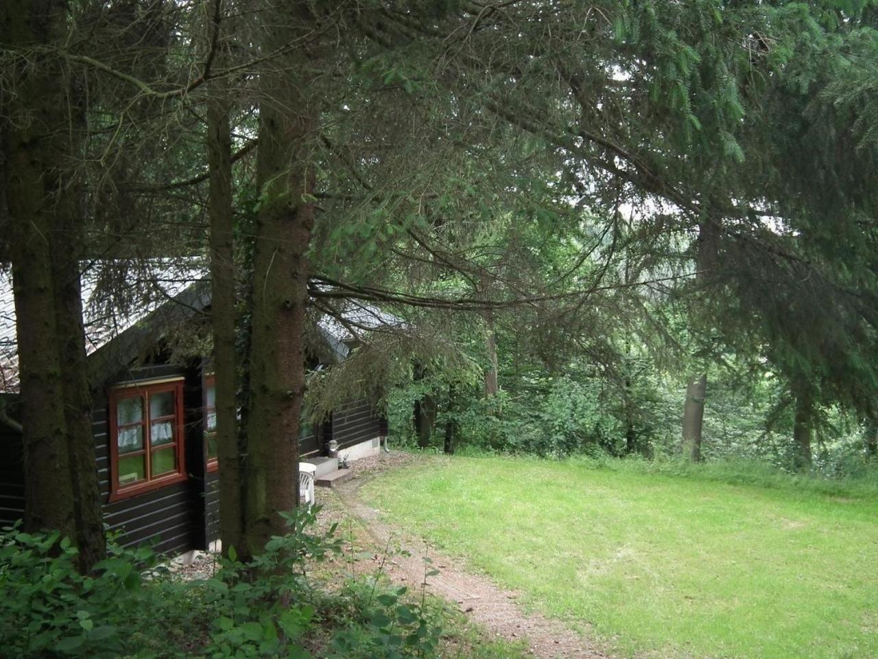 Wunderschoenes Ferienhaus Am Waldrand Villa Bad Arolsen Ruang foto